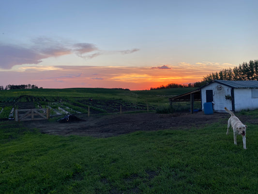 Rent the Farm - Photography Session (Single family/Client)